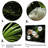 " White Anthurium In Tropical "-403631238-403631239