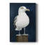NAUTICAL Series CL III - Gallery Cavas-117727703