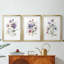 Variété de couleurs I - Impression personnalisée de qualité supérieure avec cadre mat - 3 pièces-802106304