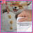 Cute Fox Trio Duvet Covers-125272891
