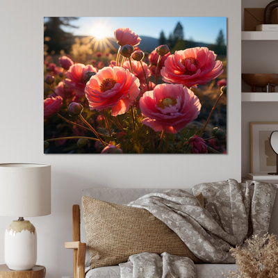 " Pink Ranunculus Field "