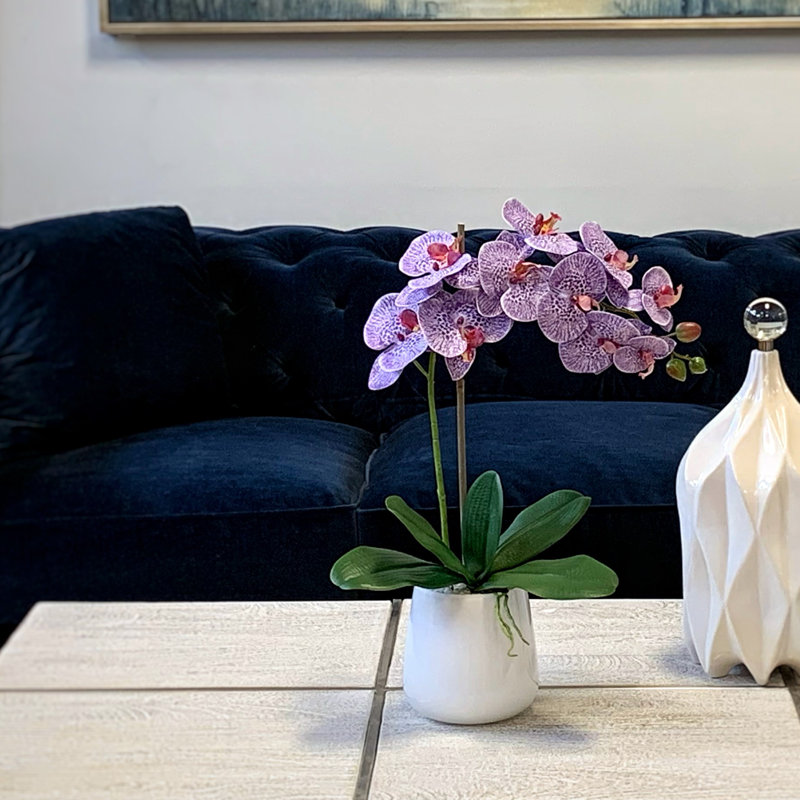 Arrangement floral orchidée phalaenopsis en pot, Mauve