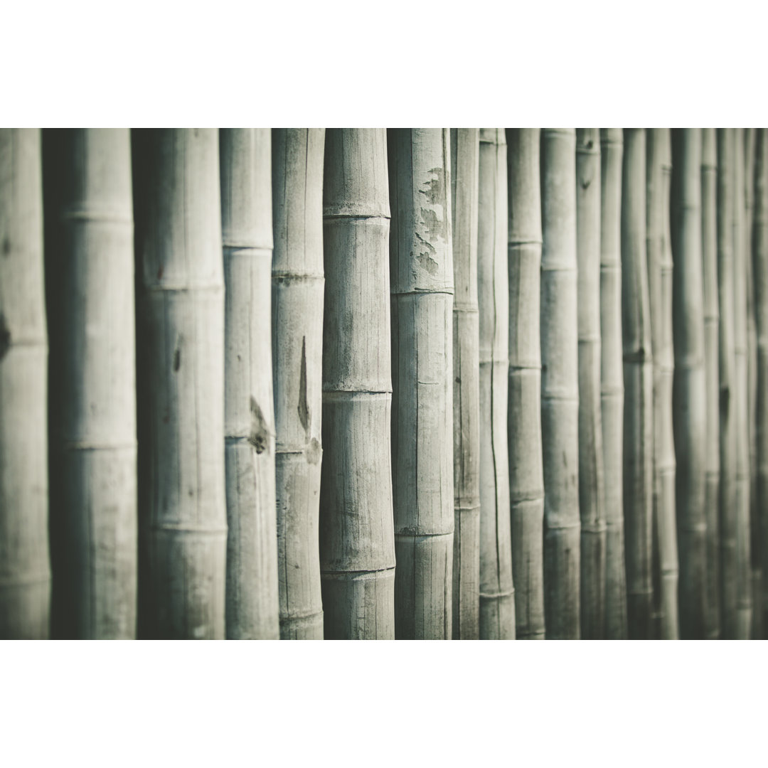 Bamboo Hintergrund - Druck