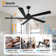 Baun 5-Blade Indoor Ceiling Fan with Remote