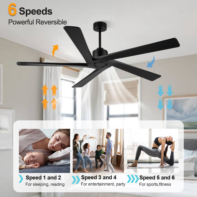 Baun 5-Blade Indoor Ceiling Fan with Remote Control