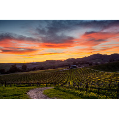 Colorful Sunset Over A Napa California Vineyard by KarenWibbs - Wrapped Canvas Print