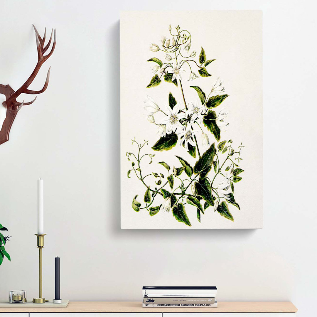 Clematis Flowers by Sarah Featon - Wrapped Canvas