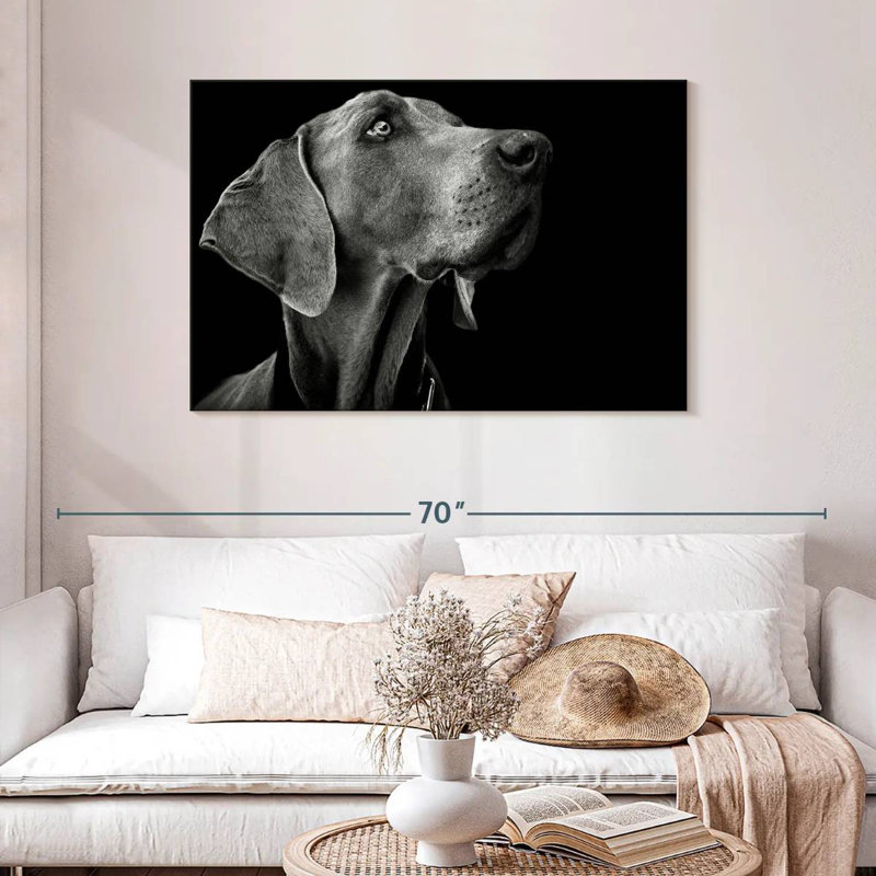 Brampt chien monochrome