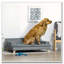 Grand canapé en mousse souple pour lit de chien chic
