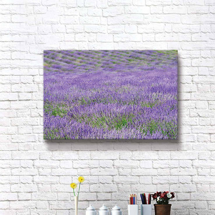 " Lavender Fields I ", 24" H x 36" W x 2" D, Canvas