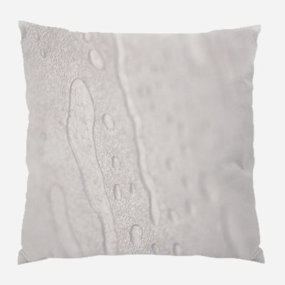 Coussin décoratif mouillé