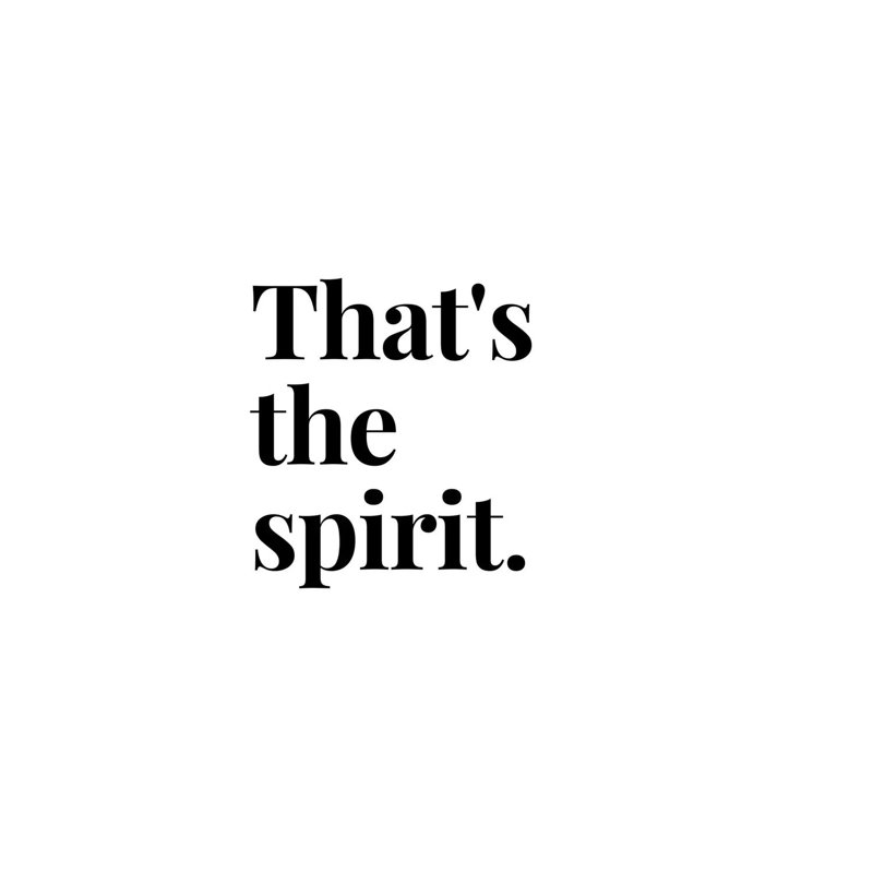 That'S The Spirit Bar An Drinks Quote by Design Harvest - Wrapped Canvas Print, 152.5 cm H x 101.5 cm W
