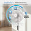 Vonhaus Pedestal Fan / Desk Fan 14"