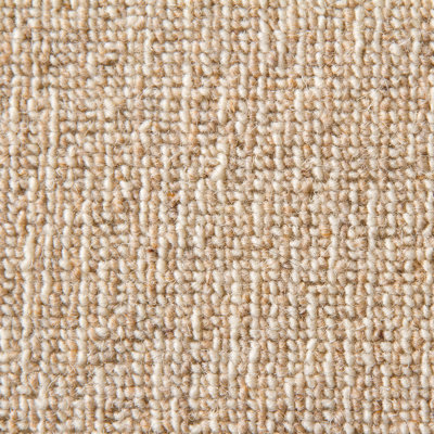 Jadyn Solid Colour Machine Woven Machine Tufted Area Rug