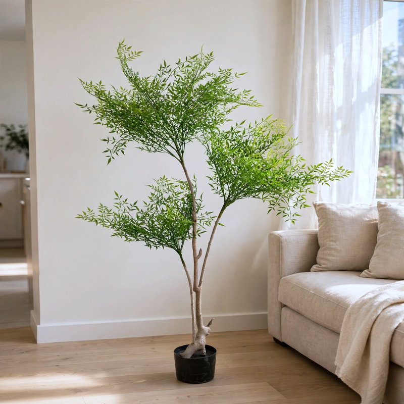 Arbre de bambou céleste 5,5 pi avec folioles vert vif et tronc fourchu naturel dans un pot de fleurs noir
