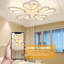 5-Light Semi Flush Mount