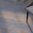 Halverson Hand-Tufted Wool Mocha/Navy Area Rug-21662681