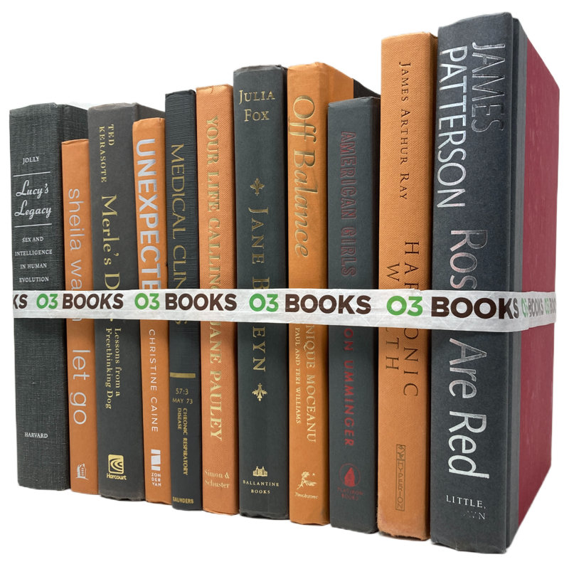 Citron zeste livres décoratifs orange et gris