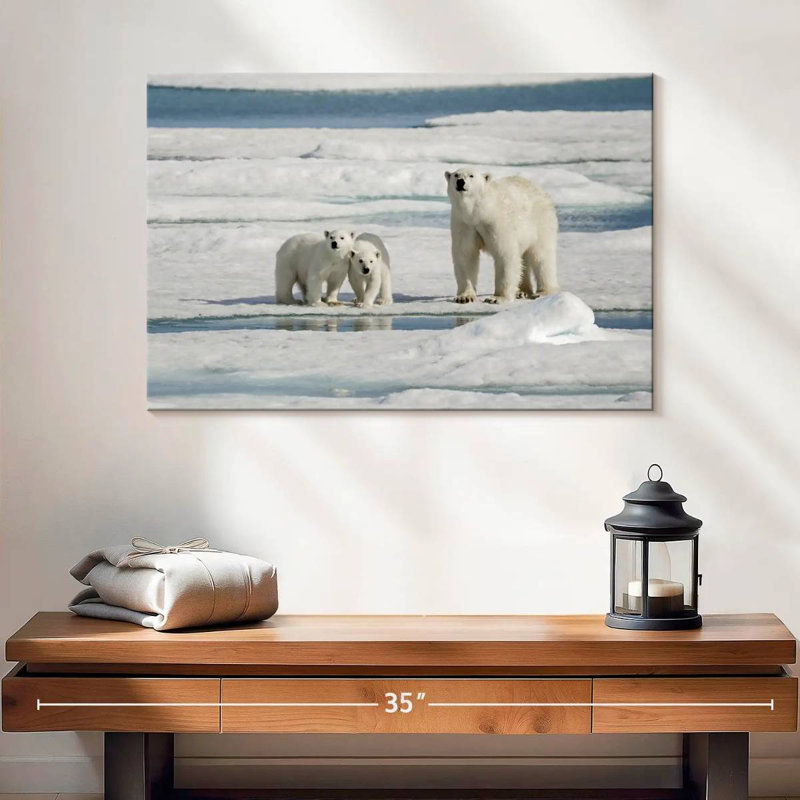 Ours polaires Brampt Longyearbyen, H 16 po x l 24 po