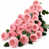 Rose sélectionné