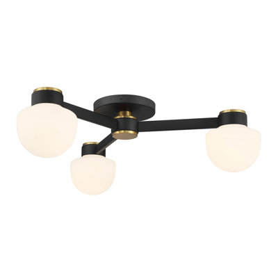 Ollins 3-Light Ceiling Light in Matte Black with Natural Brass