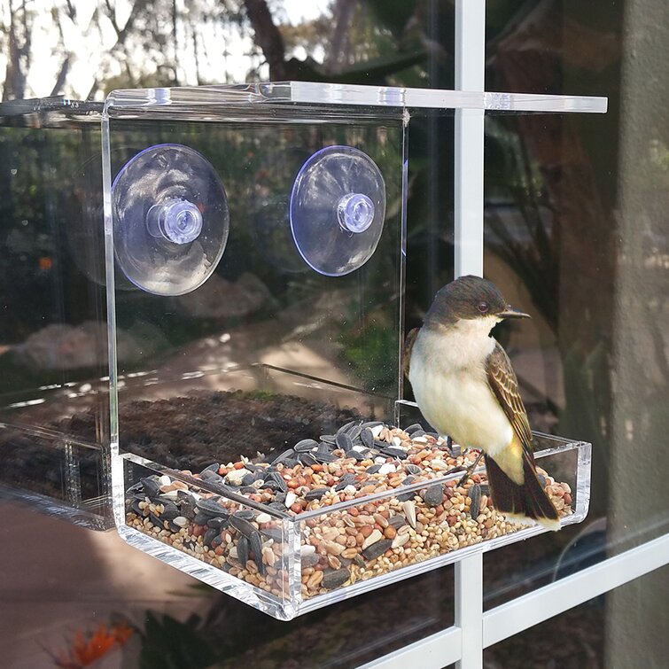Tucker Murphy Pet™ Coria Window Tray Bird Feeder