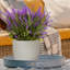 Egg Garden Reinforced Stone Round Planter, Outdoor Plant Pot-1669766809-1669766810