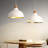 11.8"  Dome Pendant Light-1322456608-1322456607