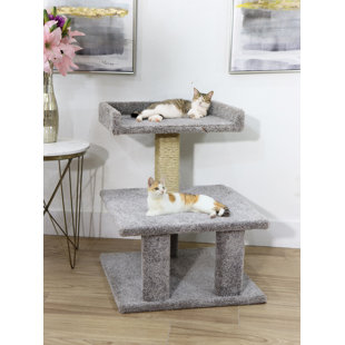 New Cat Condos   Cat Stand