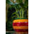 Colfax 9 in. Stripped Orange Talavera Baul Planter