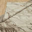 Nomad Haven Wool Hand Knotted Area Rug in Mocha Marble-883703983