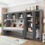 Lit escamotable simple avec armoire murale, armoire et bureau-1557996617