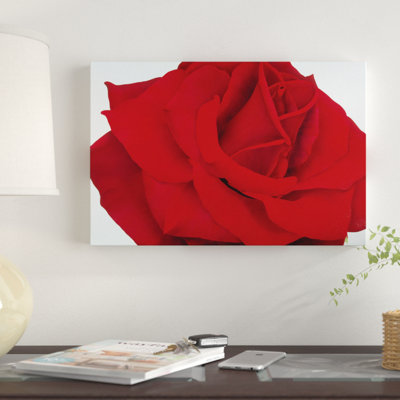 " Red Rose " by Yvonne Poelstra-Holzhaus