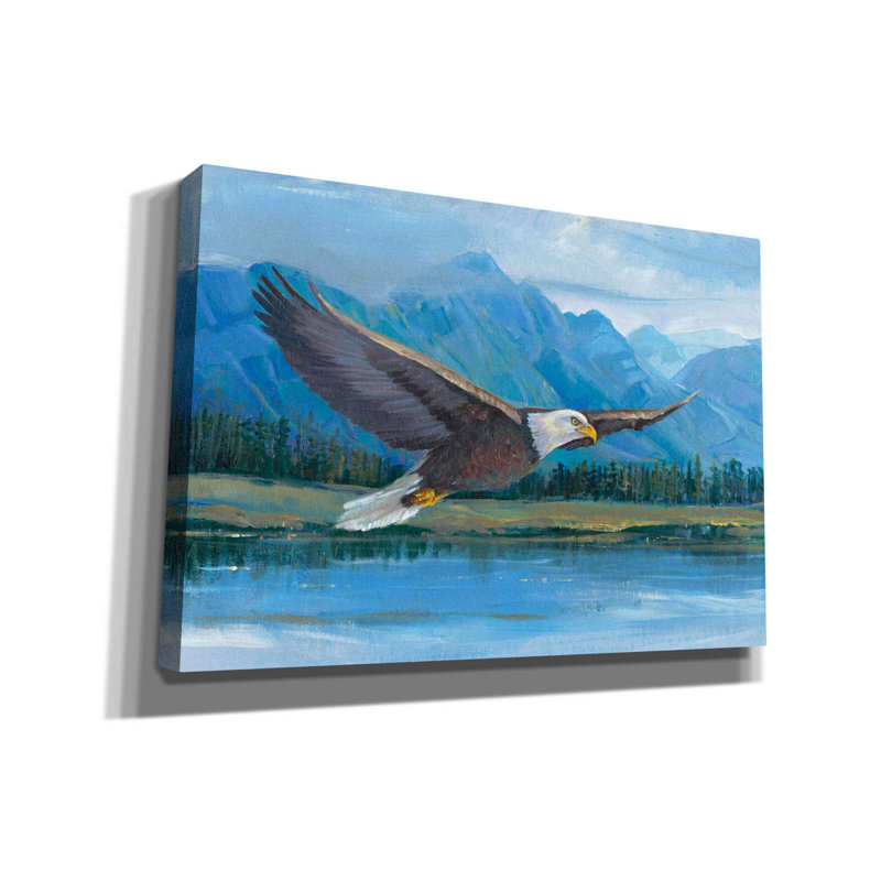 «Eagle Soaring» par Tim O'toole, art mural sur toile, H 18 po x l 26 po x P 0,75 po