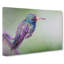 Broad-Billed Hummingbird in Abstract - Wrapped Canvas-55314463