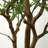 Approx. 83 Inches High Artificial Olive Tree