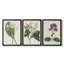 Antique Botanical Collection IV - Toile tendue avec châssis sur mesure - 3 pièces-896322637