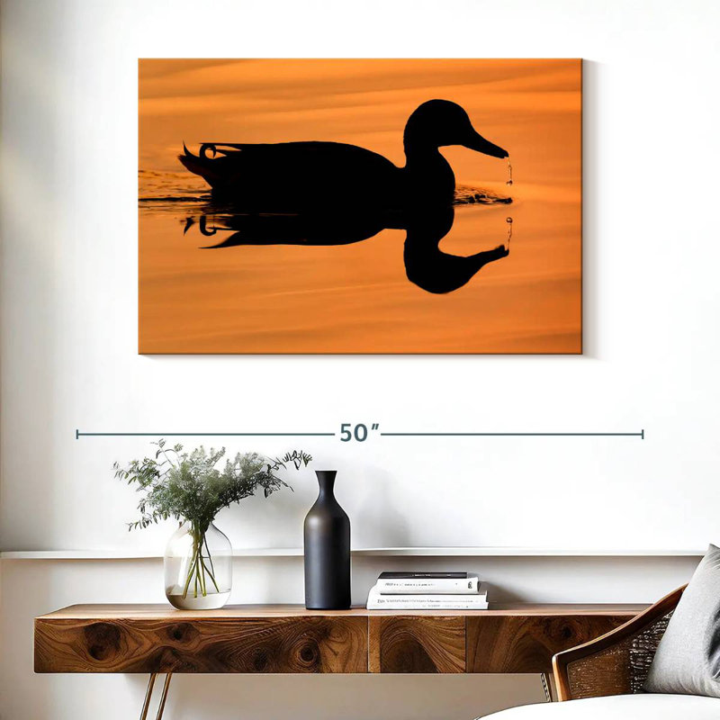 Silhouette de canard colvert Brampt