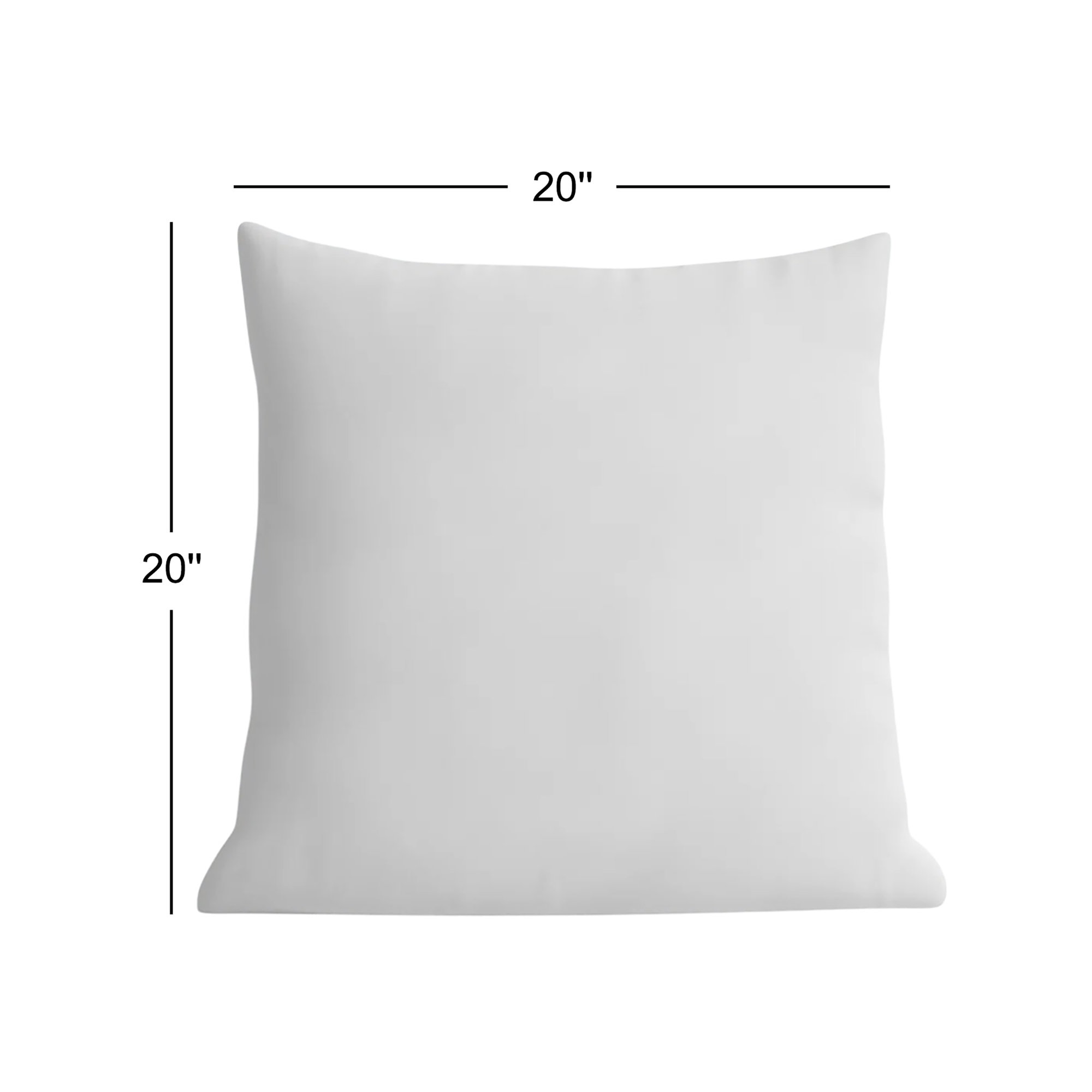 Steves Down Pillow Insert, 20" x 20"
