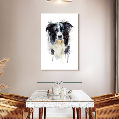 Border Collie Dog Splash