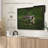 " Bald Eagle Reflection Wall Art "-627903211