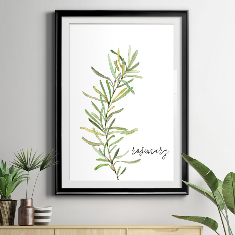 Fresh Sprig Rosemary - Cadre photo, reproduction d'art sur papier, H 30,5 po x l 42,5 po x P 1,5 po, Cadre noir