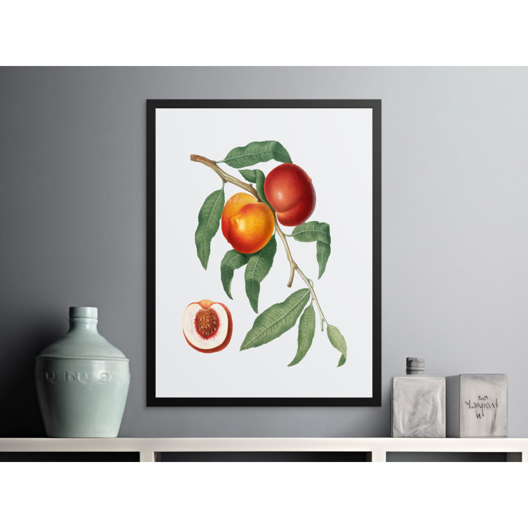 No Frame Print