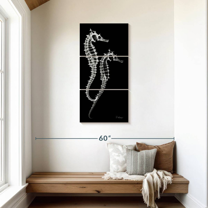 Sea Sea Xray, H 44 po x l 21 po