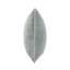 Housse et insert Goodall-591587343-589049709