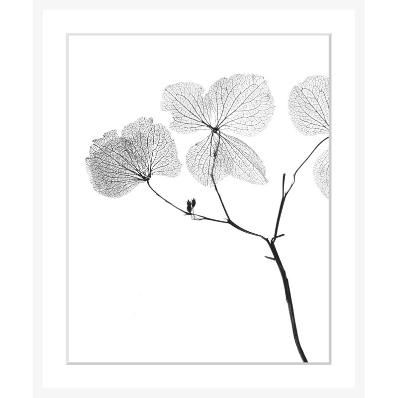 Flowers - Single Picture Frame Print