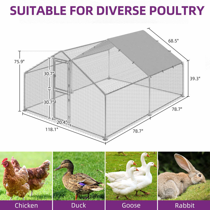 Poulailler en métal robuste Tucker Murphy Pet ™, H 76,7 po x l 118,1 po x P 157,4 po