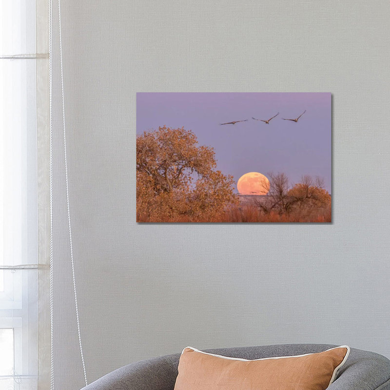 USA, New Mexico, Bosque Del Apache National Wildlife Refuge. Full Moon And Sandhill Cranes. by Jaynes Gallery - Wrapped Canvas Gallery-Wrapped Canvas Giclée