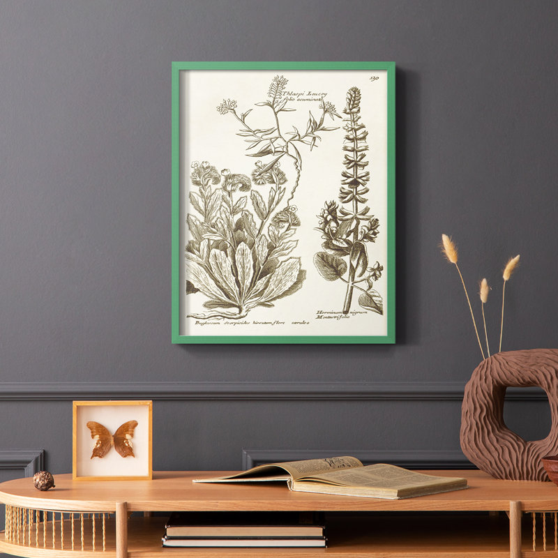 «Sepia Botanical Journal IV», reproduction encadrée - bois massif, Vert, H 10 po x l 8 po