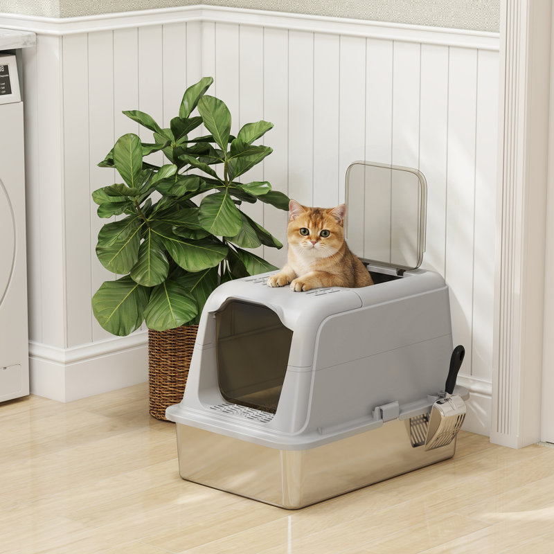 Cat Litter Box